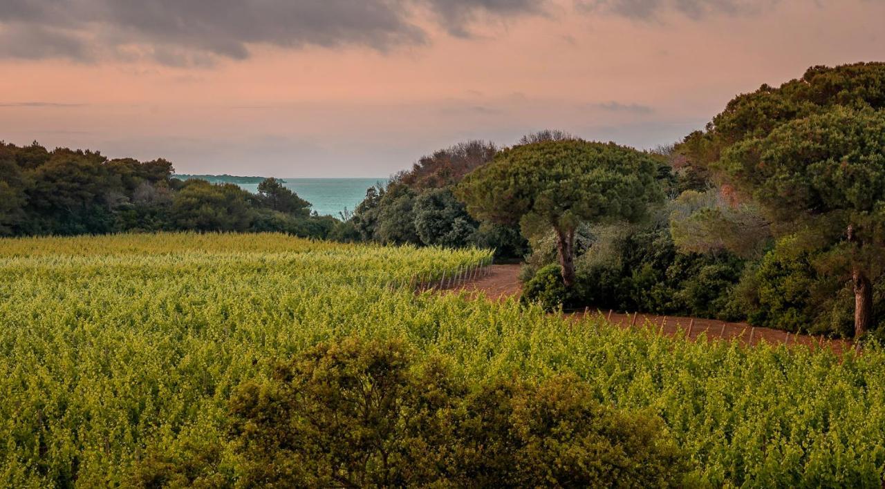 Masseria Mongio Dell'Elefante 奥特朗托 外观 照片