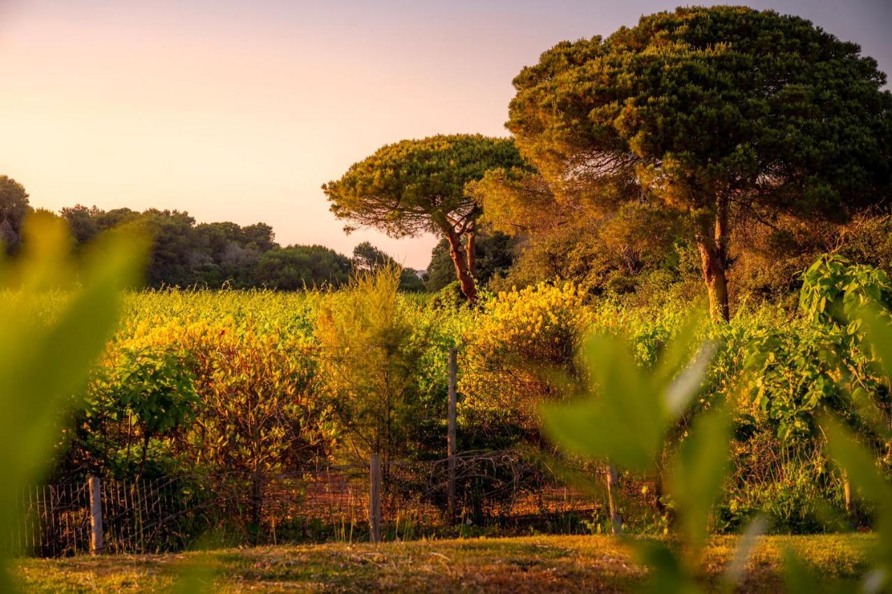 Masseria Mongio Dell'Elefante 奥特朗托 外观 照片