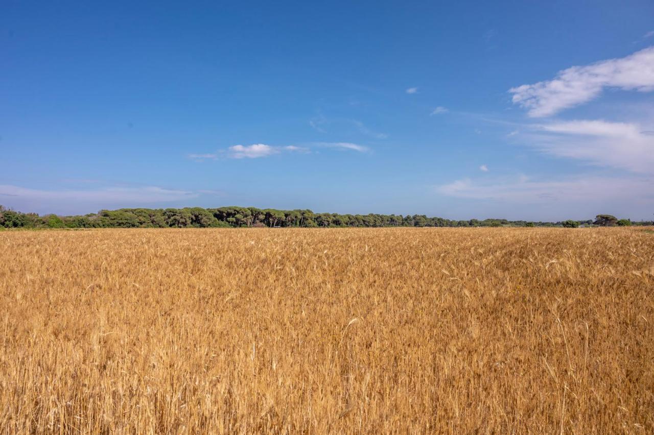 Masseria Mongio Dell'Elefante 奥特朗托 外观 照片