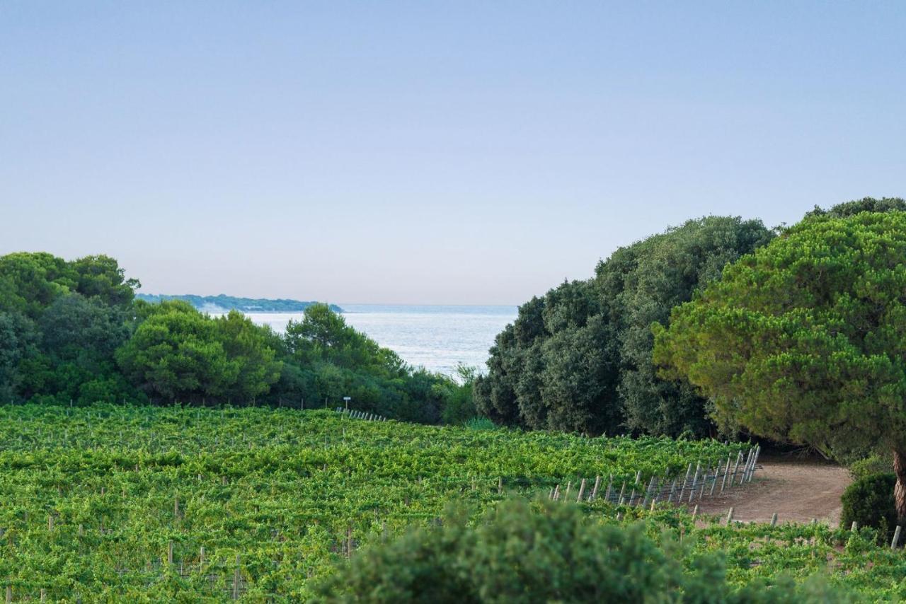 Masseria Mongio Dell'Elefante 奥特朗托 外观 照片